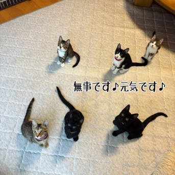 当たり前のようで有難い無事帰宅♪