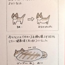 ねこ　病院へ行く②