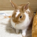 まだちょっと早かった