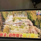 土曜日は、ポツンと一軒家の日でもある