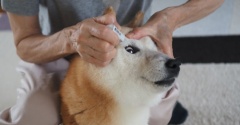目薬させた♪