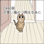 あんこと麦と