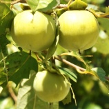 『老いの覚悟と生き方Ⅱ(5650回記念)(30)「老いるが勝ち!」』の画像