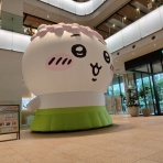 阪和線の沿線から