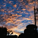 『緊急なSOS～故郷へ帰る』の画像