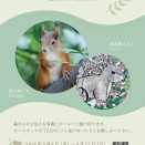 ウイーンのリス写真とボールペン画展＠原村TEAM7