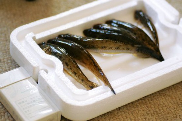 ハゼのテンプラ メロンのゆったり よなよな