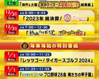 【画像】阪神ファン、年末年始が忙しすぎるwww