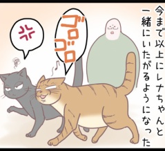 飼い猫たちのドタバタも解決なのです！のまき