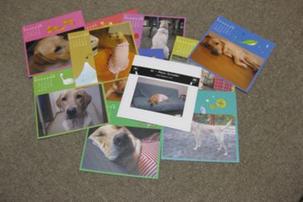 らぶと飼い主の呟き 犬雑貨