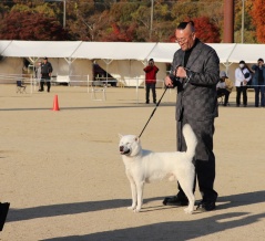 2025全国展IN兵庫Ⅳ