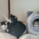 ついに蓮くんも...❔