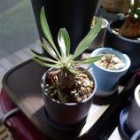 �ؾ����������ǥå����٤β���