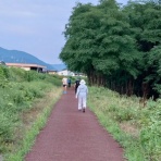 ターシャの布しごと＆花だより
