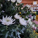 お正月迎えるためのお花がそろいました