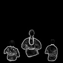 2025年11/21(金) 一般部少年部ゴールドジム町田稽古日記