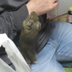 命と絵画と音楽と。