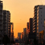 『株や競馬で勝てる人の特徴 vol.4151』の画像