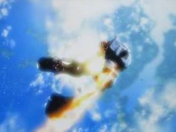 ※【ガンダム】ヅダよりヤバい機体といえば？