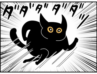 アタチが居なくても大丈夫なのか心配する猫