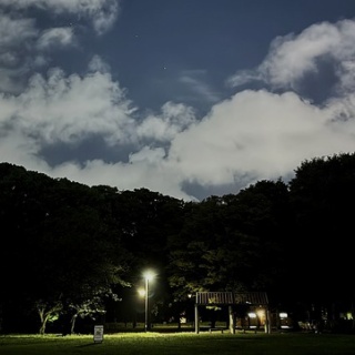 light_bucket_18のblog