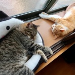 だいじろう日和。