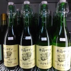 ������ƺ��ε���Ǥ����٤β���