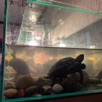 がんばり過ぎないで