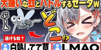 【ホロID】ゼータvs蚊！配信中に現れた蚊と壮絶な戦いを繰り広げるｗｗｗ