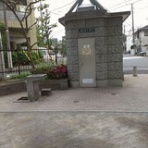 結節性多発動脈炎のちフィブリノイド壊死