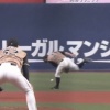 日ハム渡邉諒の守備見てよ