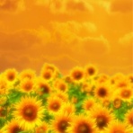 爽快庵 セラピストブログ♪♪