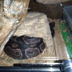 今日もテキトーに