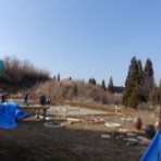 世界初ネコ村　　ネコも人も楽しく暮らす