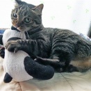 カメラ目線になって咬んでる紫おんです