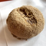 「全国イイ味ハマル味」