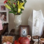 溺愛犬日記―僕は小春を愛しすぎている―