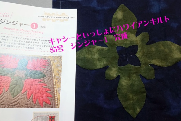 キャッシーといっしょにハワイアンキルト Amazon.co.jp: ハワイアンキルト 7号 [分冊百科] (キット付