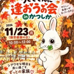 for the RABBIT【保護うさぎの里親探し】