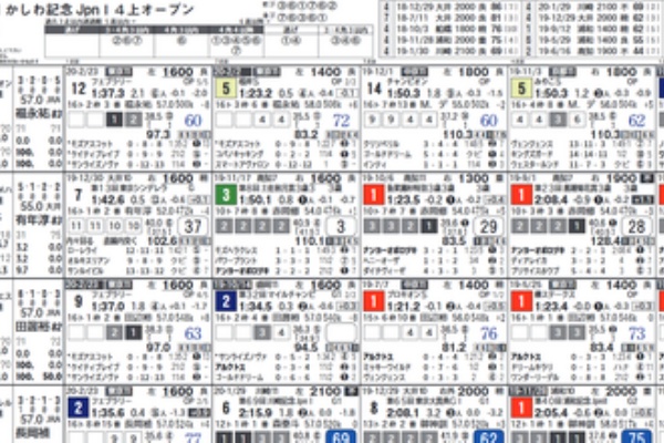 ハイブリッド競馬新聞