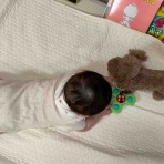 サクラに似たぬいぐるみ