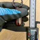 トカラノコギリクワガタ 羽化個体紹介 2025年