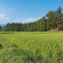 知らないと怖い「相続未登記」のリスク