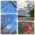 雨晴れごはん日記