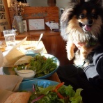 黒ぽめ！あんことおはぎとだんごちゃん