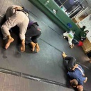 柔術ディフェンス倶楽部