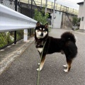 ギンちゃん♪
