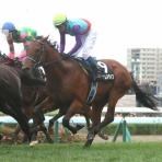 がんばれ！ホッカイドウ競馬　.blog