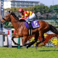 現役最強馬ベラジオオペラで異論ないよな？