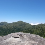 �ز���������2025 vol.5 ���⤭���ԡ���Ƿ���Ϥ����̣�٤ء٤β���